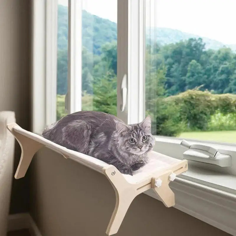 Perchoir suspendu hamac de fenêtre pour chat - HautePattes