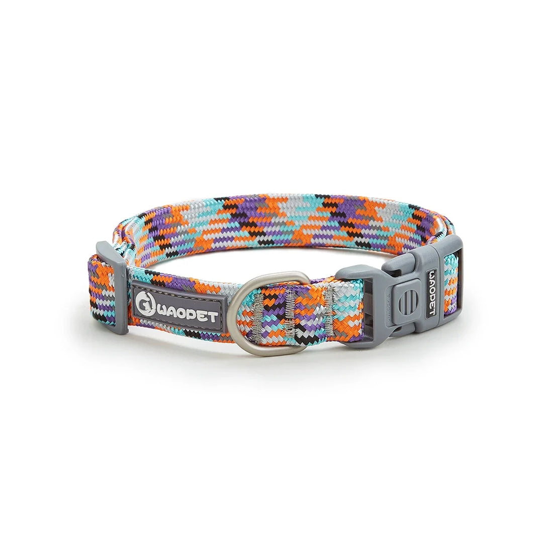 Collier réfléchissant chien & chat : visible la nuit, discret au quotidien