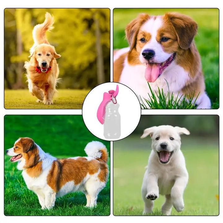 Distributeur d'eau portable pour chien avec gobelet pliable - HautePattes