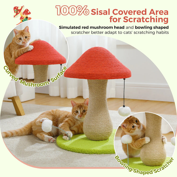 Griffoir Champignon pour Chat - HautePattes