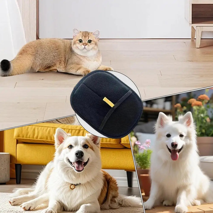 Gant pour Chat et Chien - HautePattes