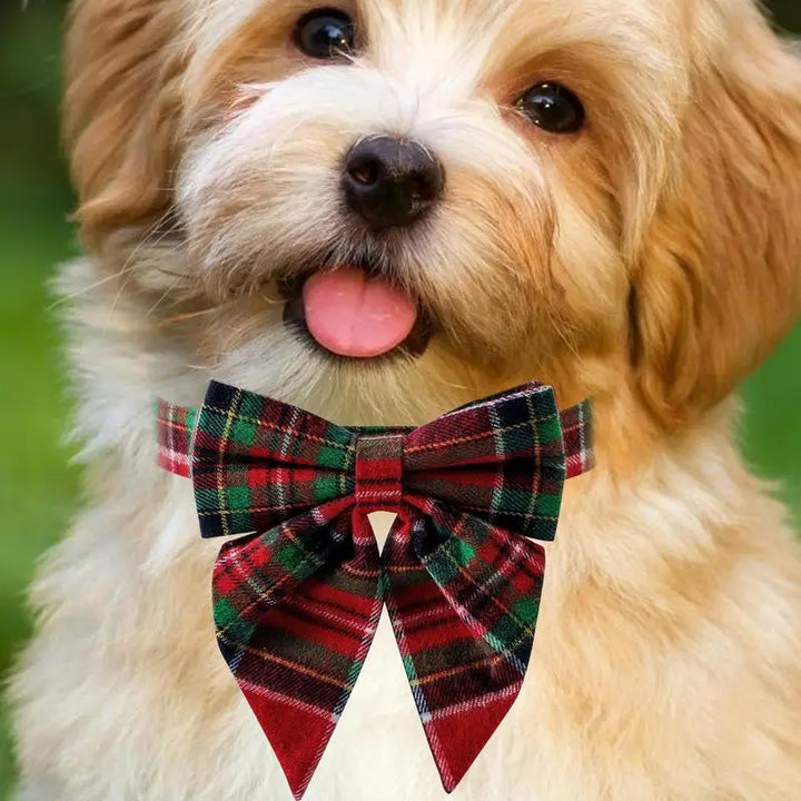 Collier chien nœud papillon – Élégance chic au quotidien