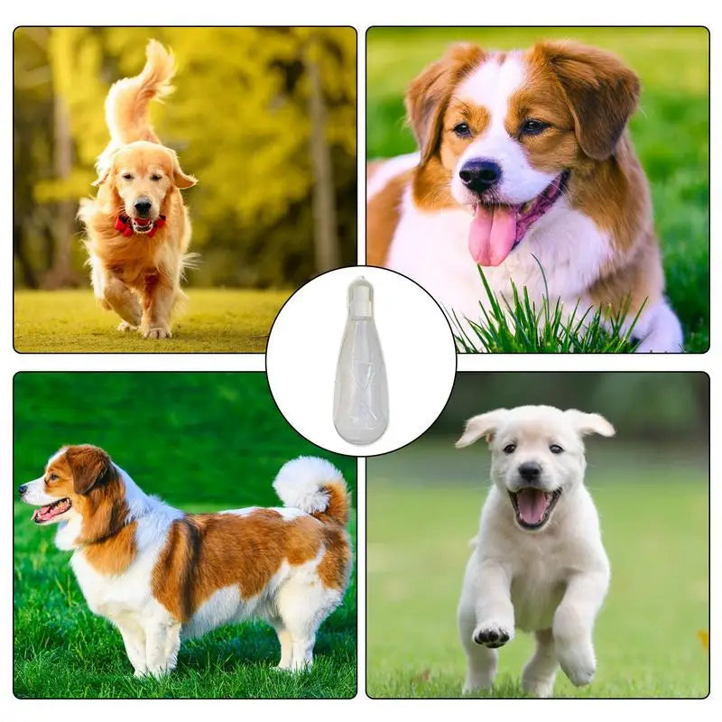 Bouteille d'eau portable 450 ml pour chiens - HautePattes