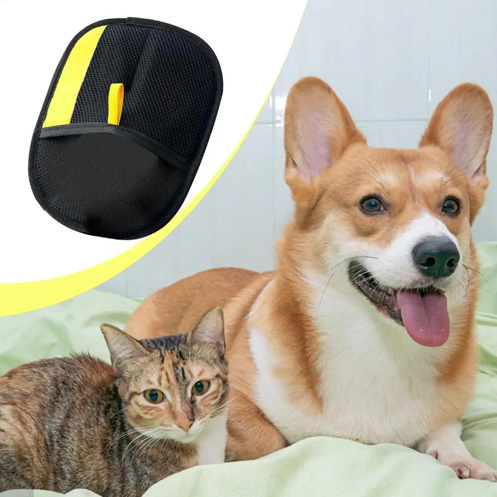 Gant pour Chat et Chien Brosse - HautePattes