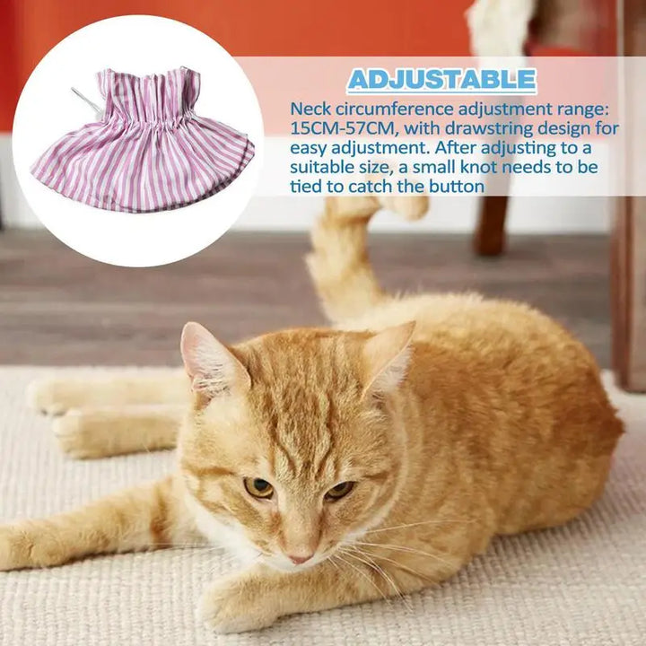 Collerette pour chat - HautePattes