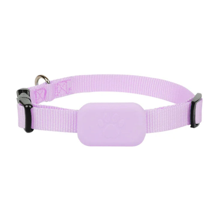 Collier GPS chien & chat : visible, localisable, et toujours retrouvable
