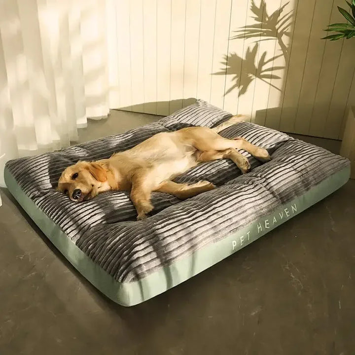 Tapis en Velours Côtelé pour Chien - HautePattes