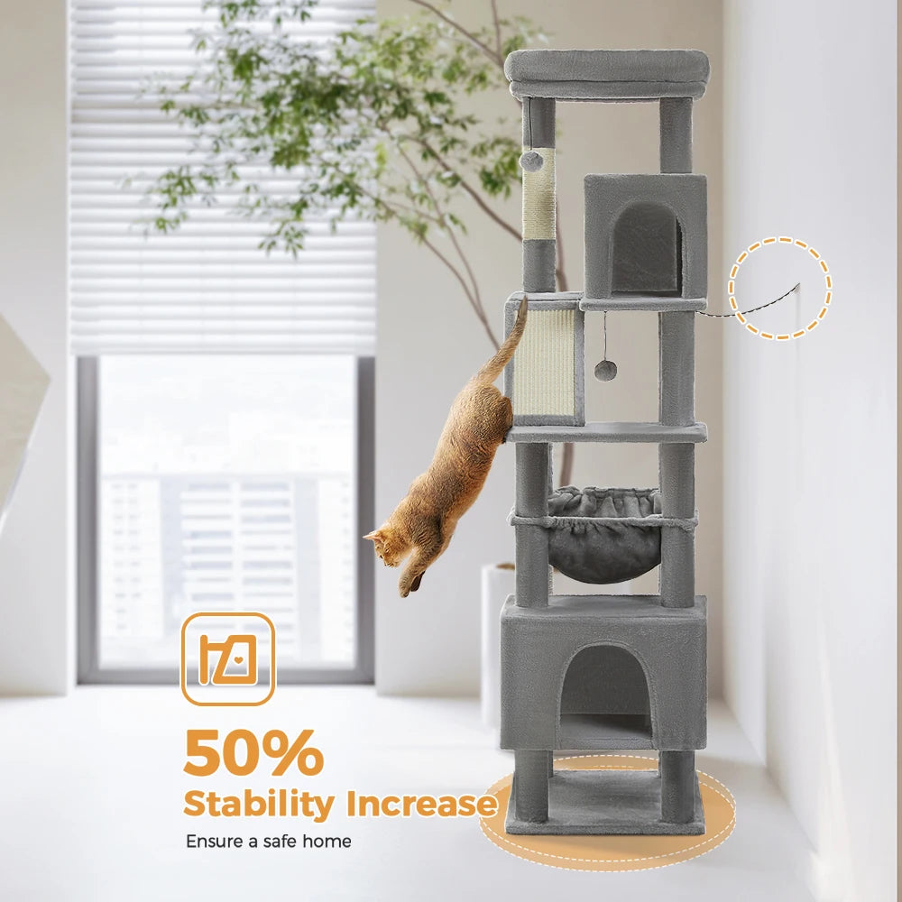 Un territoire majestueux pour les grands chats puissants