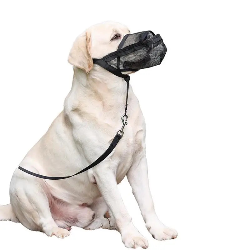 Muselière maille 2XL pour chien : maîtrise douce, confort total