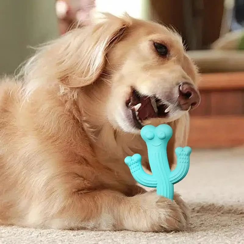 Jouet à mâcher pour chien en forme de cactus - HautePattes