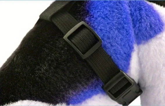 Ensemble harnais et laisse réfléchissants pour animaux de compagnie, pour chiens et chats, harnais réglable pour chiot et chat avec maille douce - HautePattes