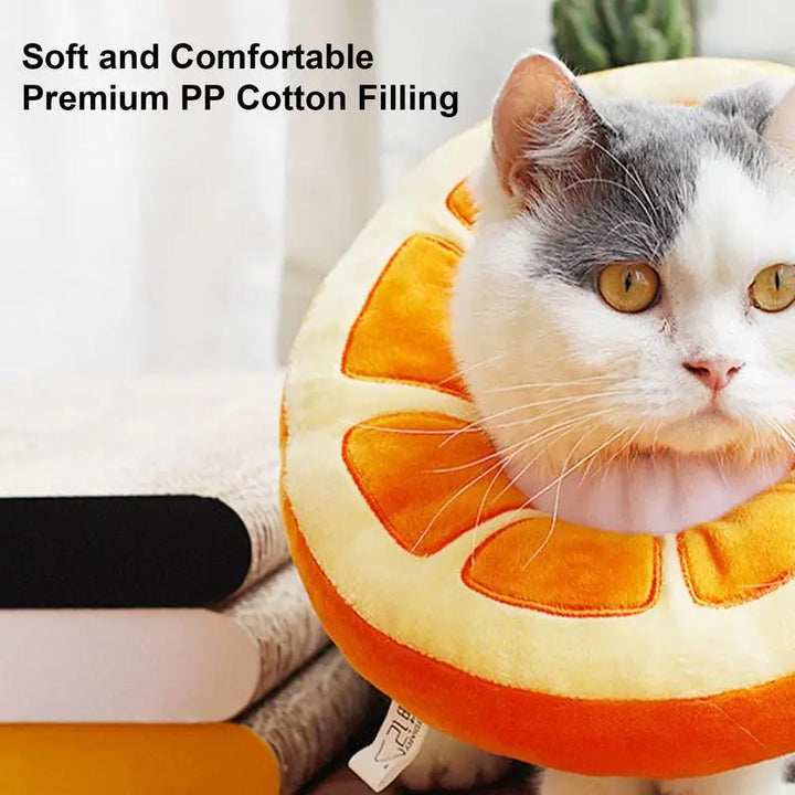 Collerette pour chat en forme d'orange - HautePattes