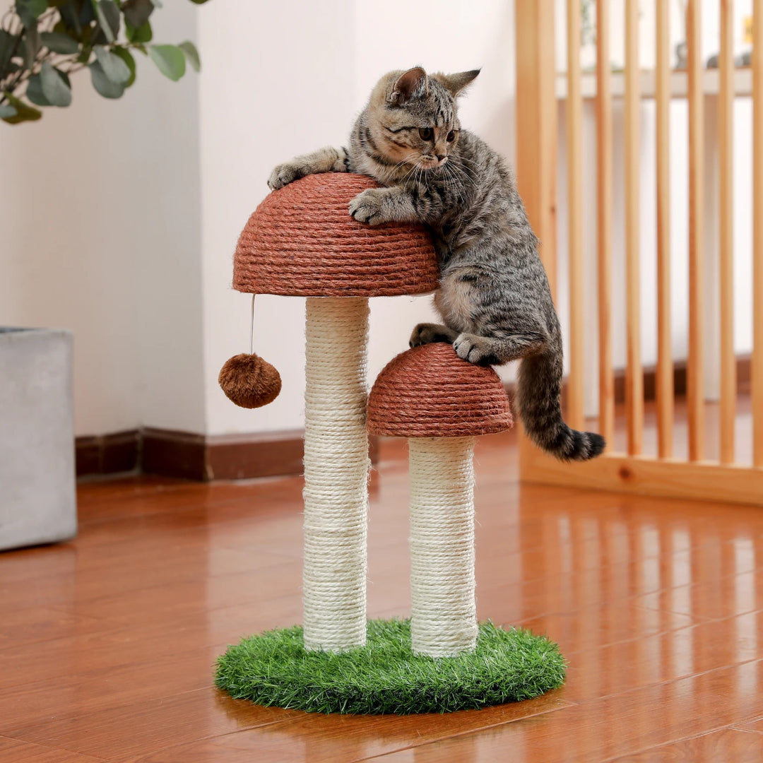 Petit Arbre à Chat Champignon - HautePattes