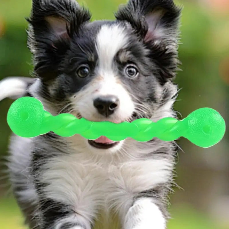 Bâton de Dentition Intelligente pour Chien - HautePattes