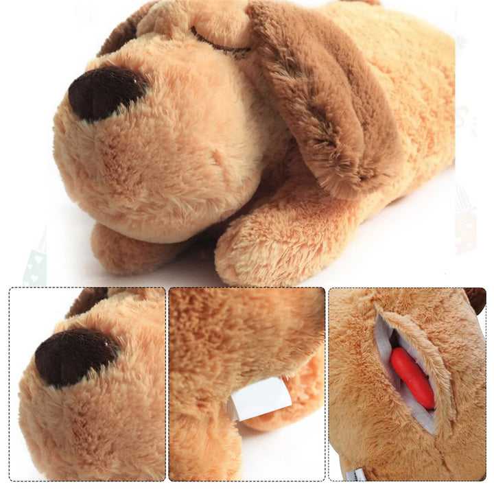 Jouet Apaisant pour Chien & Chat - HautePattes