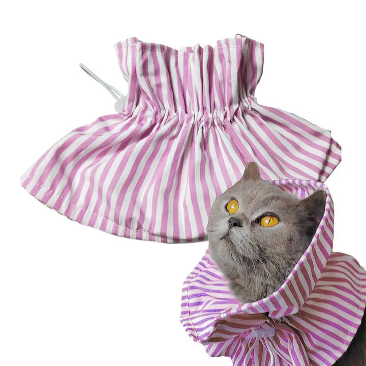 Collerette pour chat - HautePattes