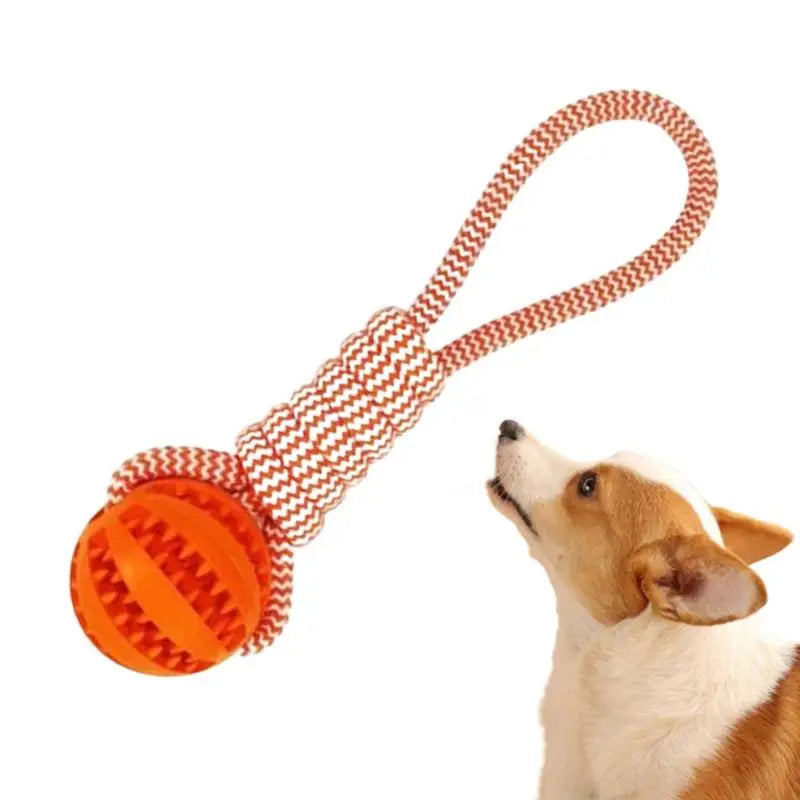 Balle à Corde Intelligente pour Chien - HautePattes