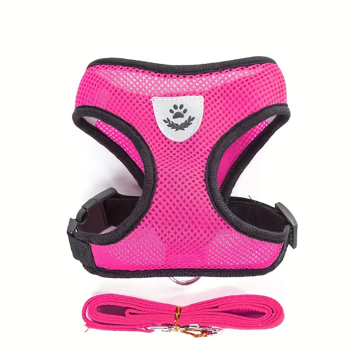 Ensemble harnais et laisse réfléchissants pour animaux de compagnie, pour chiens et chats, harnais réglable pour chiot et chat avec maille douce - HautePattes