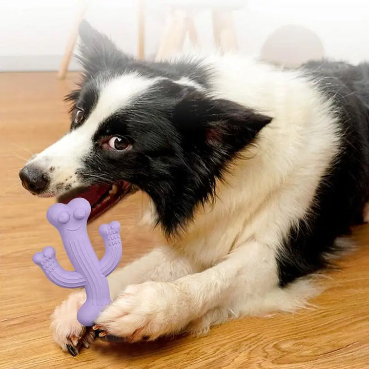 Jouet à mâcher pour chien en forme de cactus - HautePattes