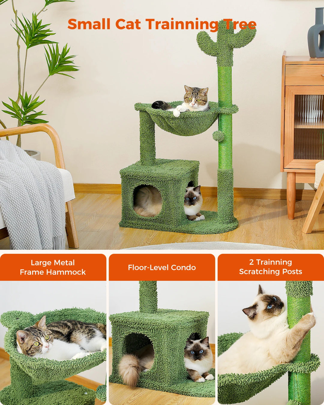 Arbre à Chat Cactus 4-en-1 - HautePattes