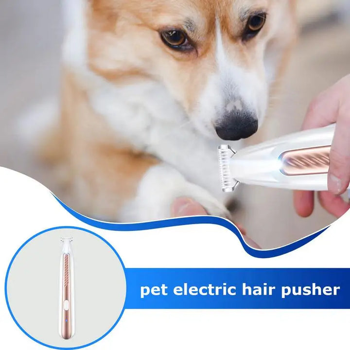 Tondeuse pattes chien & chat : douce, LED, sans stress
