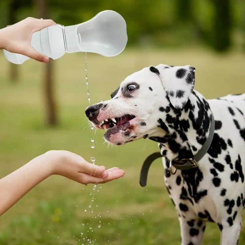 Gourde Pliable pour Chien - HautePattes