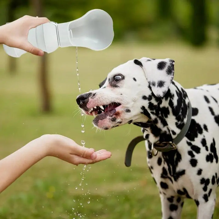 Gourde Pliable pour Chien - HautePattes