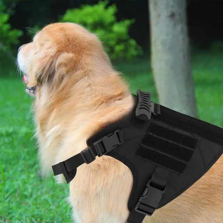 Harnais réglable chien puissant – Force respectée liberté guidée