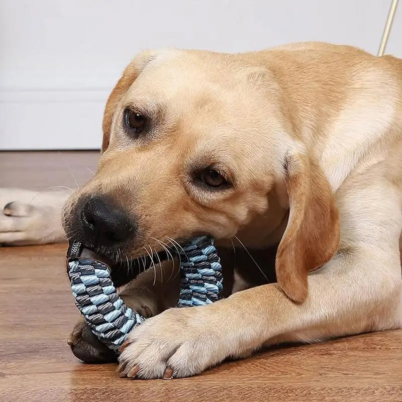 Jouet à Mâcher Tressé Sans Rembourrage pour Chiens - HautePattes