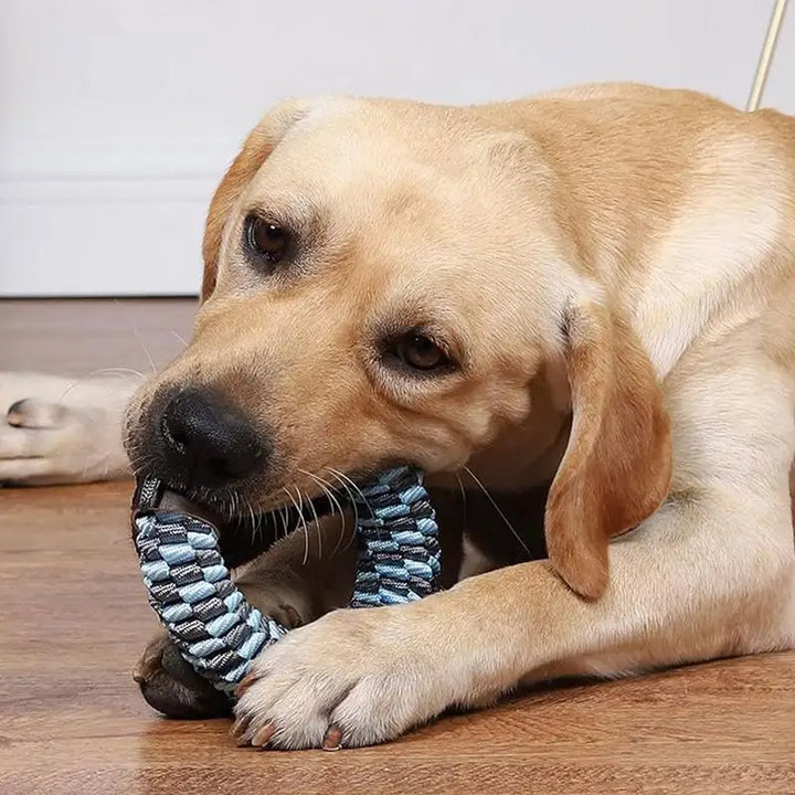 Jouet à Mâcher Tressé Sans Rembourrage pour Chiens - HautePattes
