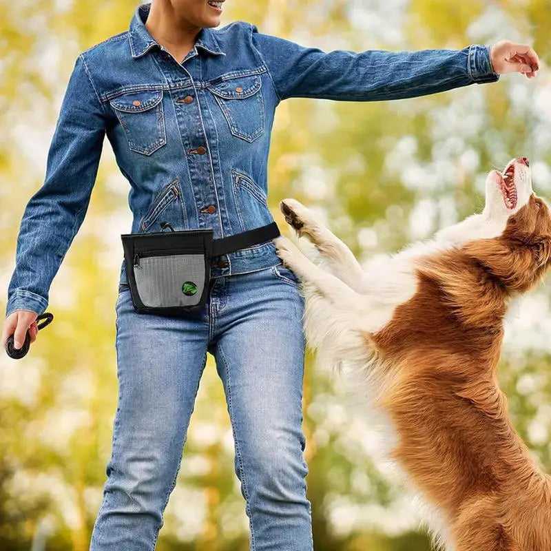 Pochette de dressage magnétique pour animaux de compagnie - HautePattes