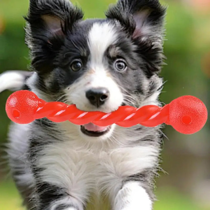 Bâton de Dentition Intelligente pour Chien - HautePattes