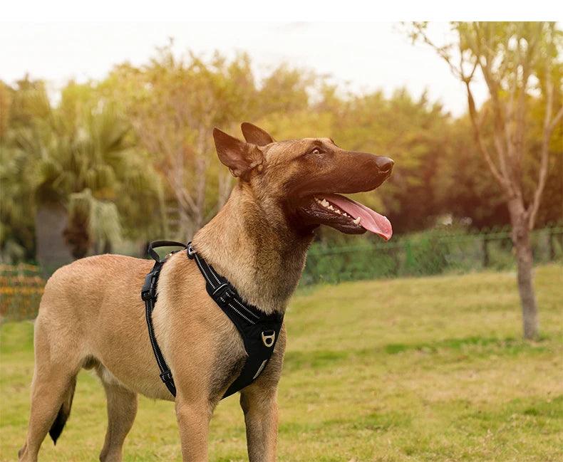 Harnais True love anti-traction chien nylon réfléchissant - HautePattes
