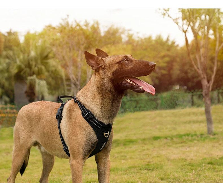 Harnais True love anti-traction chien nylon réfléchissant - HautePattes