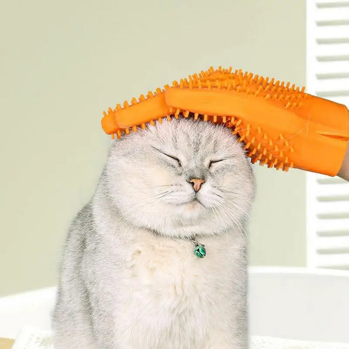 Gant pour chat et chien - HautePattes