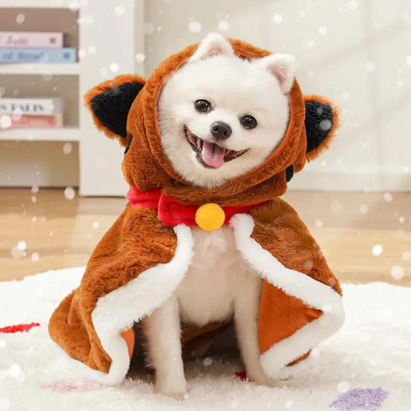 Cape d’hiver pour chien : douce, chaude, craquante