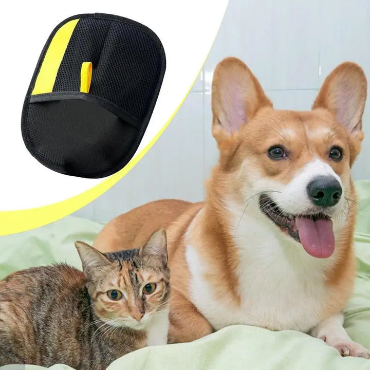 Gant pour Chat et Chien Brosse - HautePattes