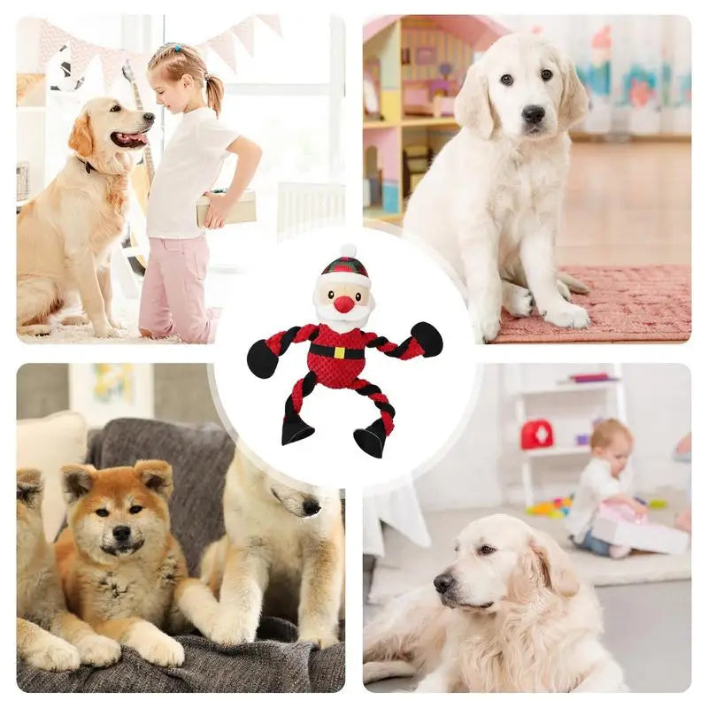 Jouet de Noël à Mâcher pour Chien - HautePattes