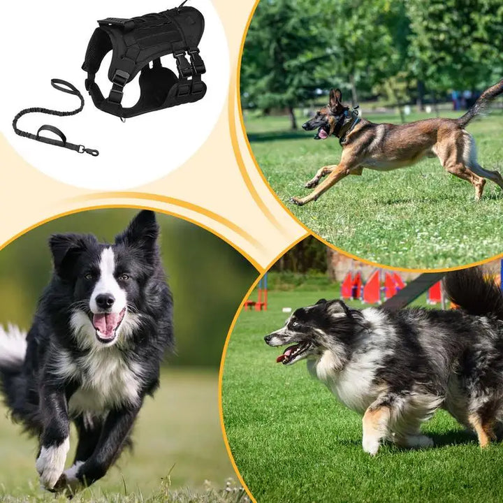 Harnais réglable chien puissant – Force respectée liberté guidée