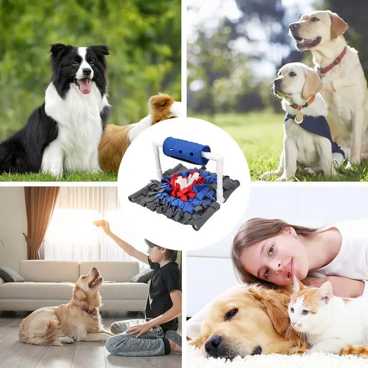 Tapis à Renifler Rotatif pour Chien - HautePattes