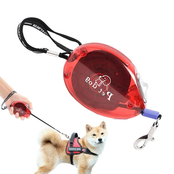 Laisse rétractable chien : liberté douce au bout des doigts