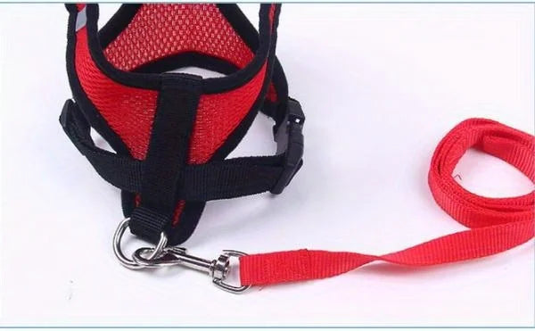 Ensemble harnais et laisse réfléchissants pour animaux de compagnie, pour chiens et chats, harnais réglable pour chiot et chat avec maille douce - HautePattes