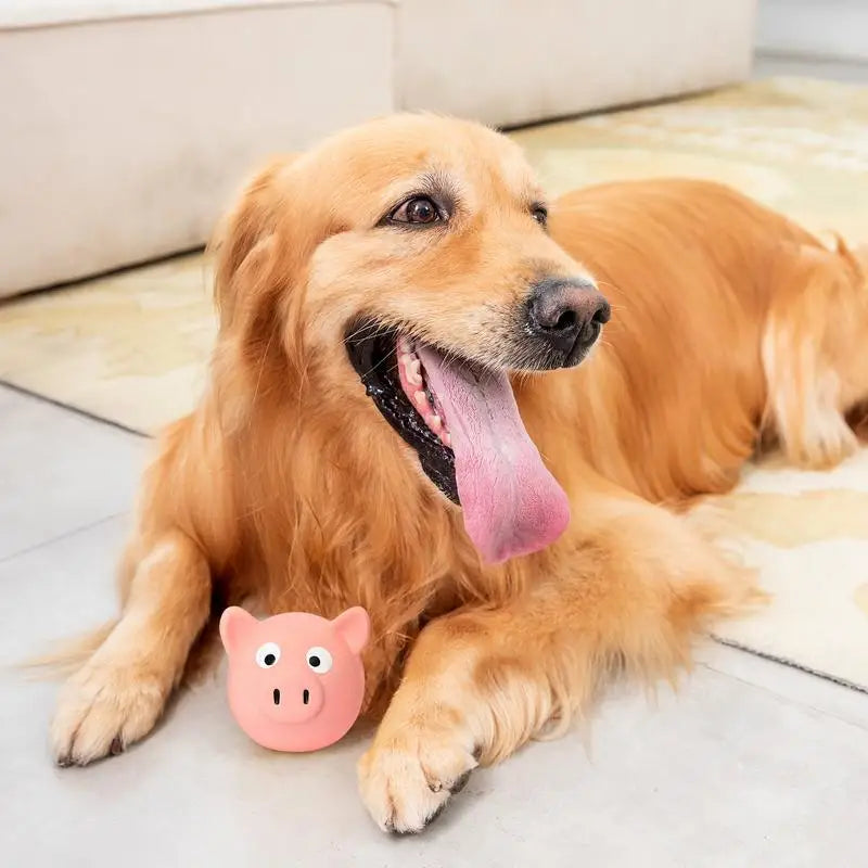 Jouet Couineur en Forme de Cochon pour Chien - HautePattes