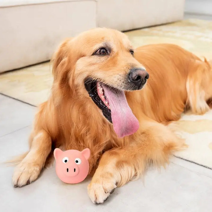 Jouet Couineur en Forme de Cochon pour Chien - HautePattes