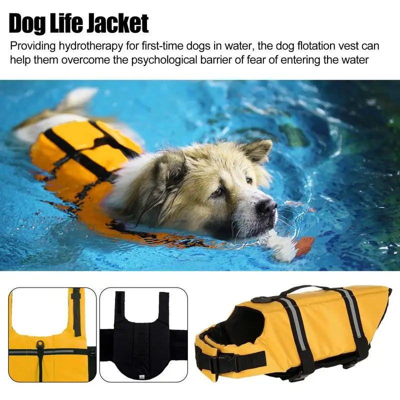 Gilet de sauvetage pour chien qui protège sans gêner