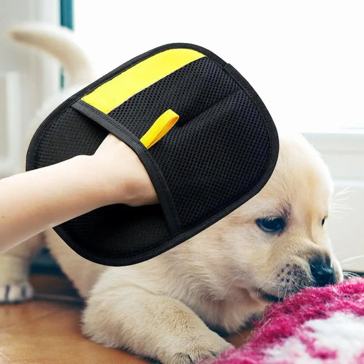Gant pour Chat et Chien Brosse - HautePattes