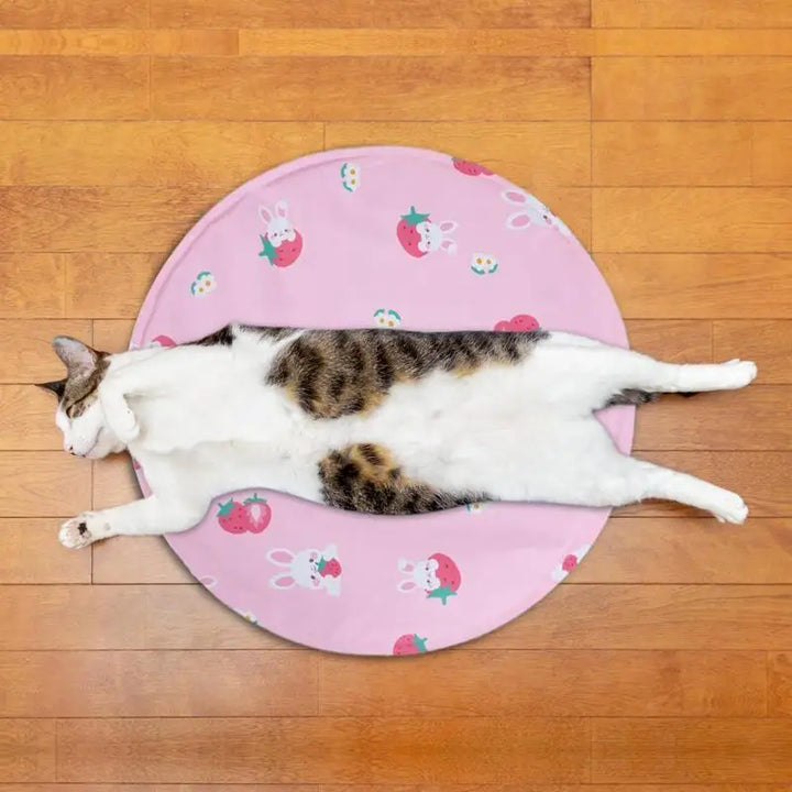 Tapis Rafraîchissant Double Gel Polymère - HautePattes