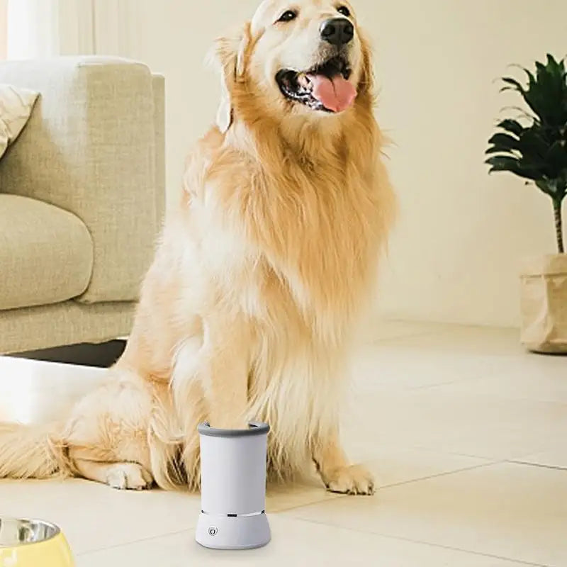Lave-Pattes Automatique pour Animaux - HautePattes