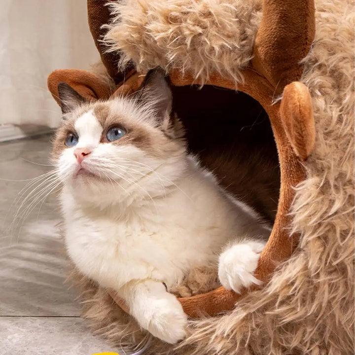 Niche pour chat d'intérieur en forme de Yak - HautePattes