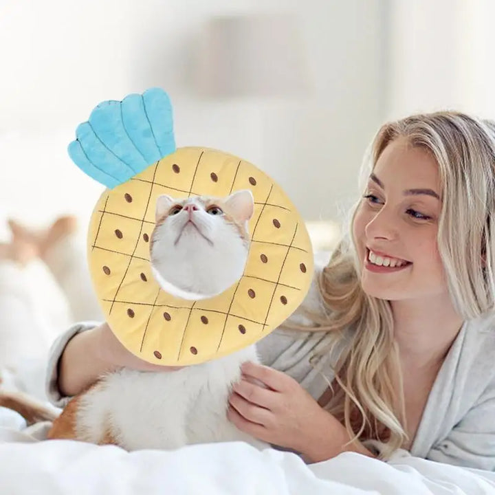 Collerette pour chat fruits - HautePattes